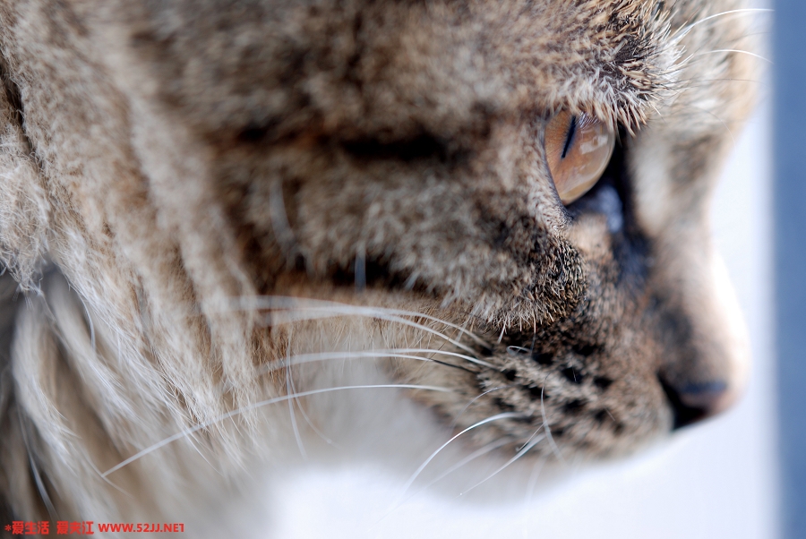 DSC_1068p.JPG