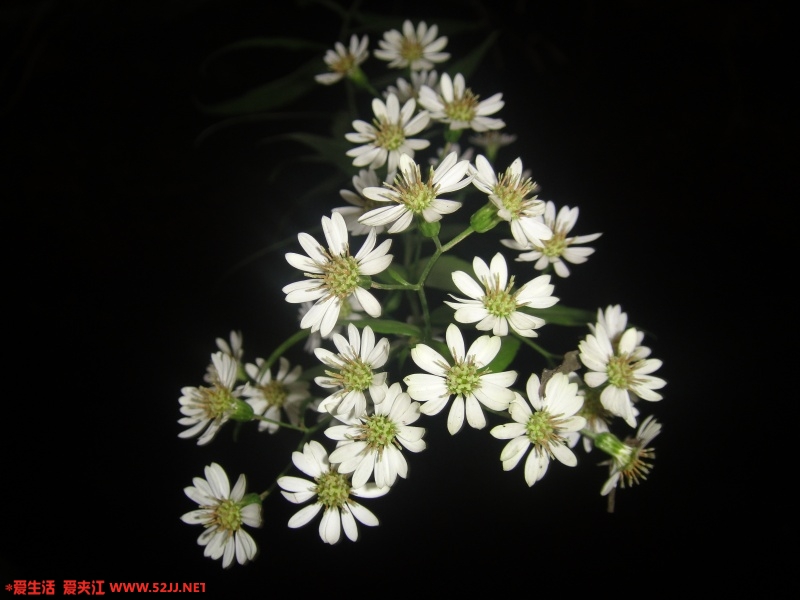 DSC01841_副本.jpg