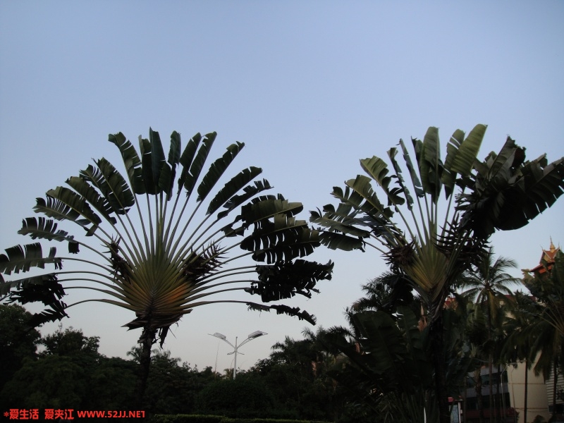 DSC00189_副本.jpg