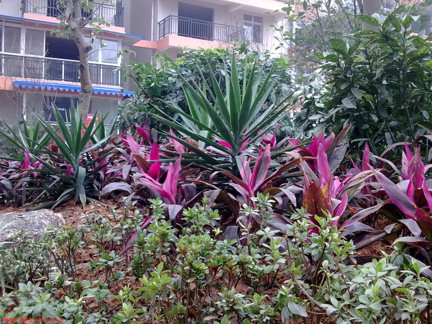 12042009241.jpg