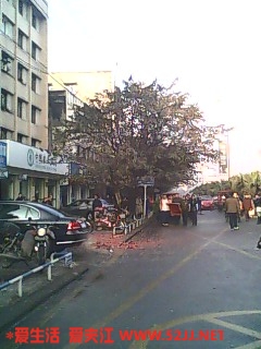 IMG0351A.jpg