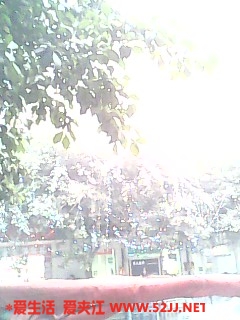 IMG0396A.jpg