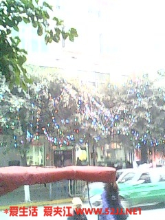 IMG0395A.jpg