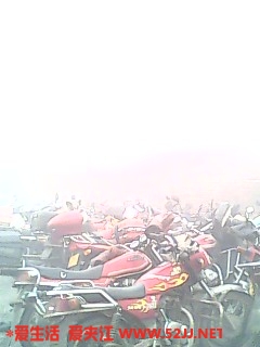 IMG0405A.jpg