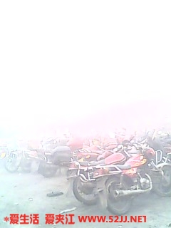 IMG0404A.jpg