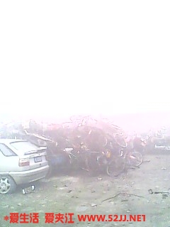 IMG0418A.jpg