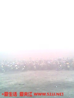 IMG0412A.jpg