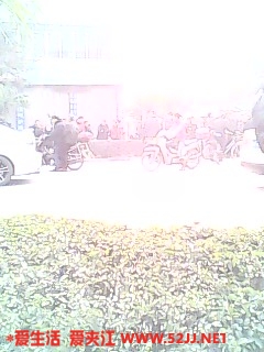 IMG0442A.jpg