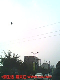 IMG0439A.jpg