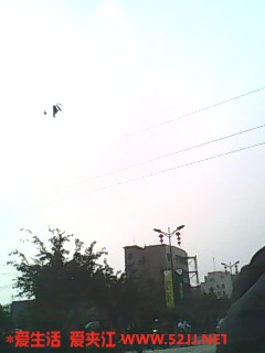 IMG0438A.jpg