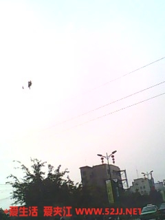 IMG0440A.jpg