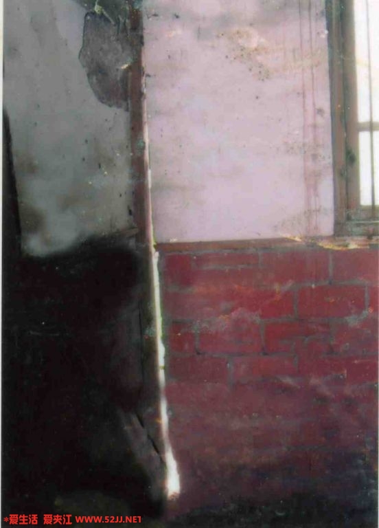 img020.jpg