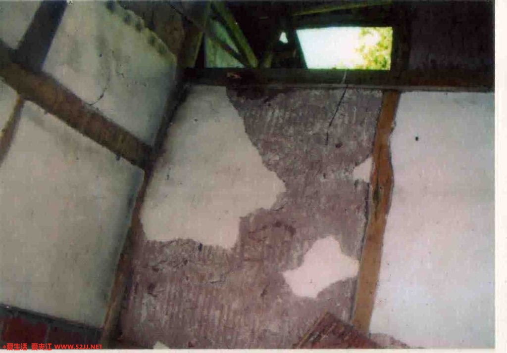img019.jpg