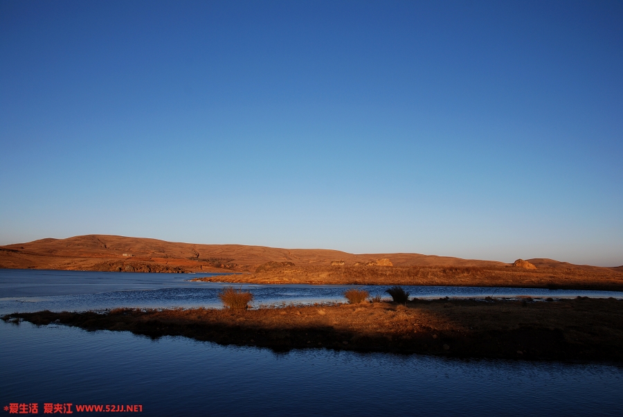 DSC_1350.jpg