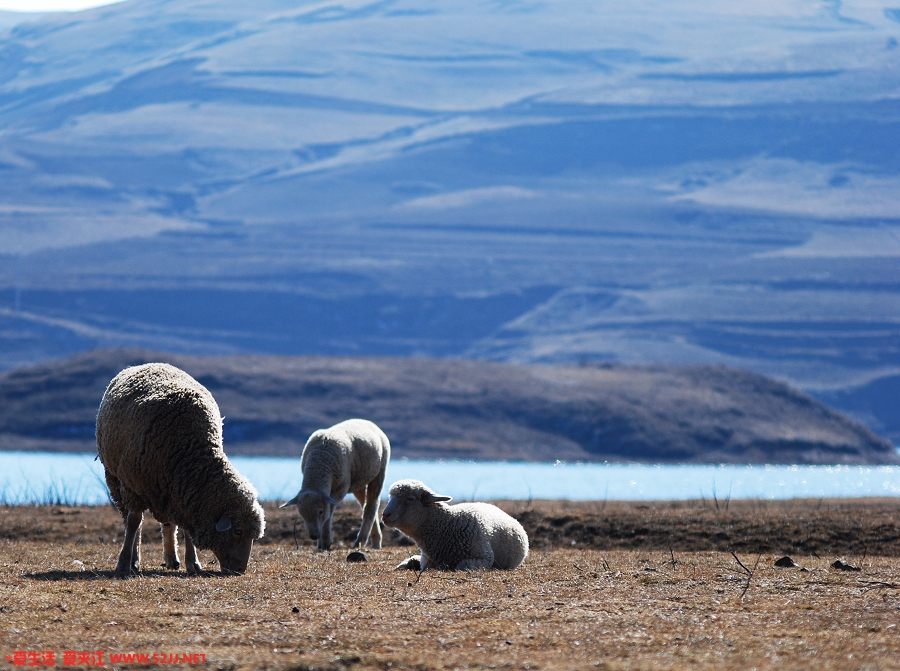 DSC_1623.jpg