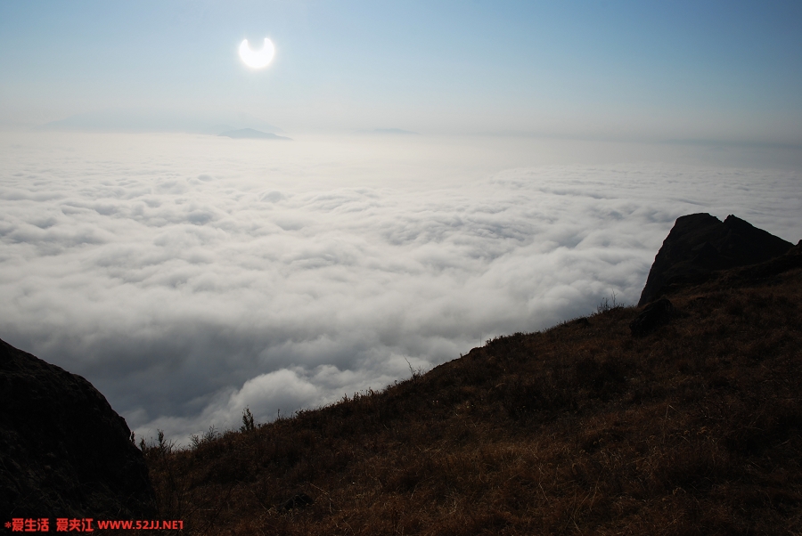 DSC_1736.jpg