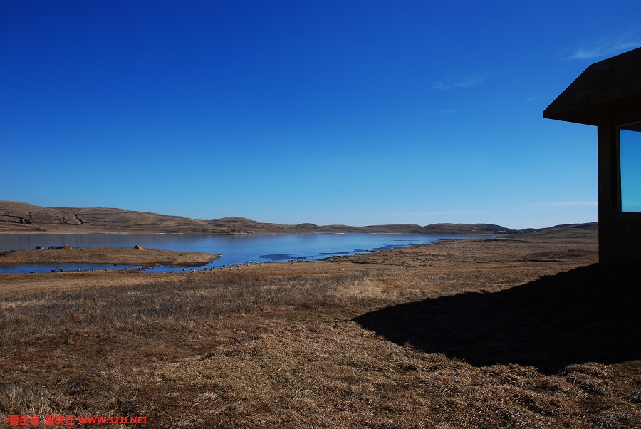 DSC_2593.jpg