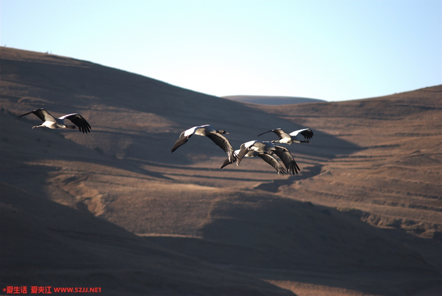 DSC_2146.jpg