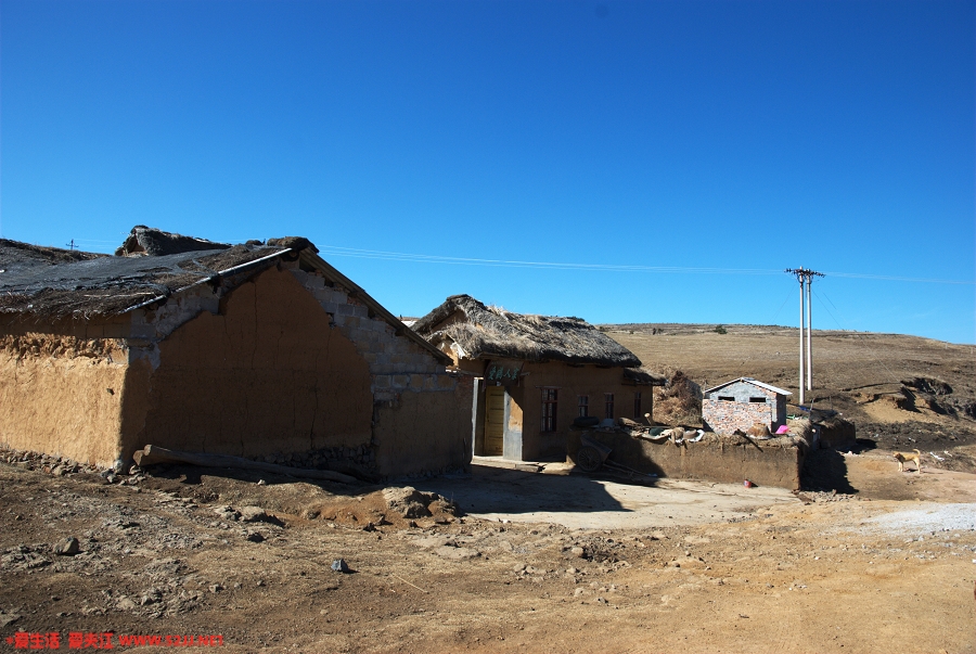 DSC_2240.jpg