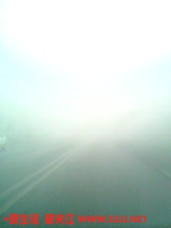 IMG0484A.jpg