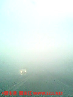 IMG0483A.jpg
