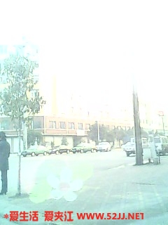 IMG0492A.jpg