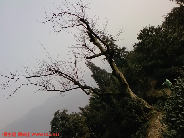 100129_123106.jpg