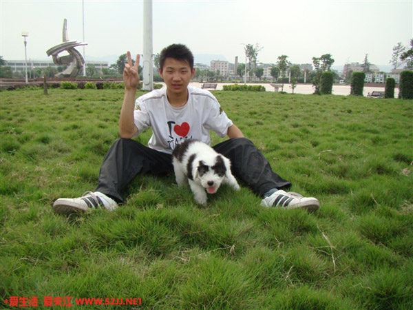 达人造型王成.jpg