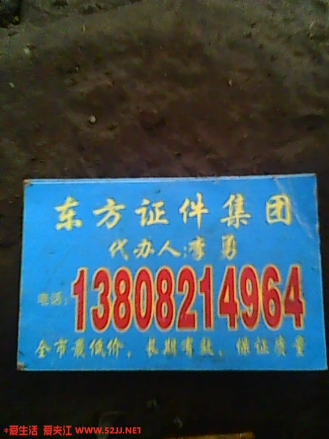 IMG0645A.jpg