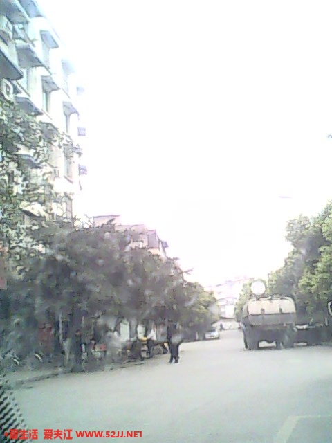 IMG0642A.jpg