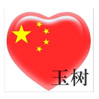 玉树爱心捐助