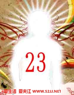 23号杜谯