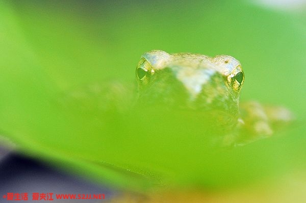DSC_0265.jpg
