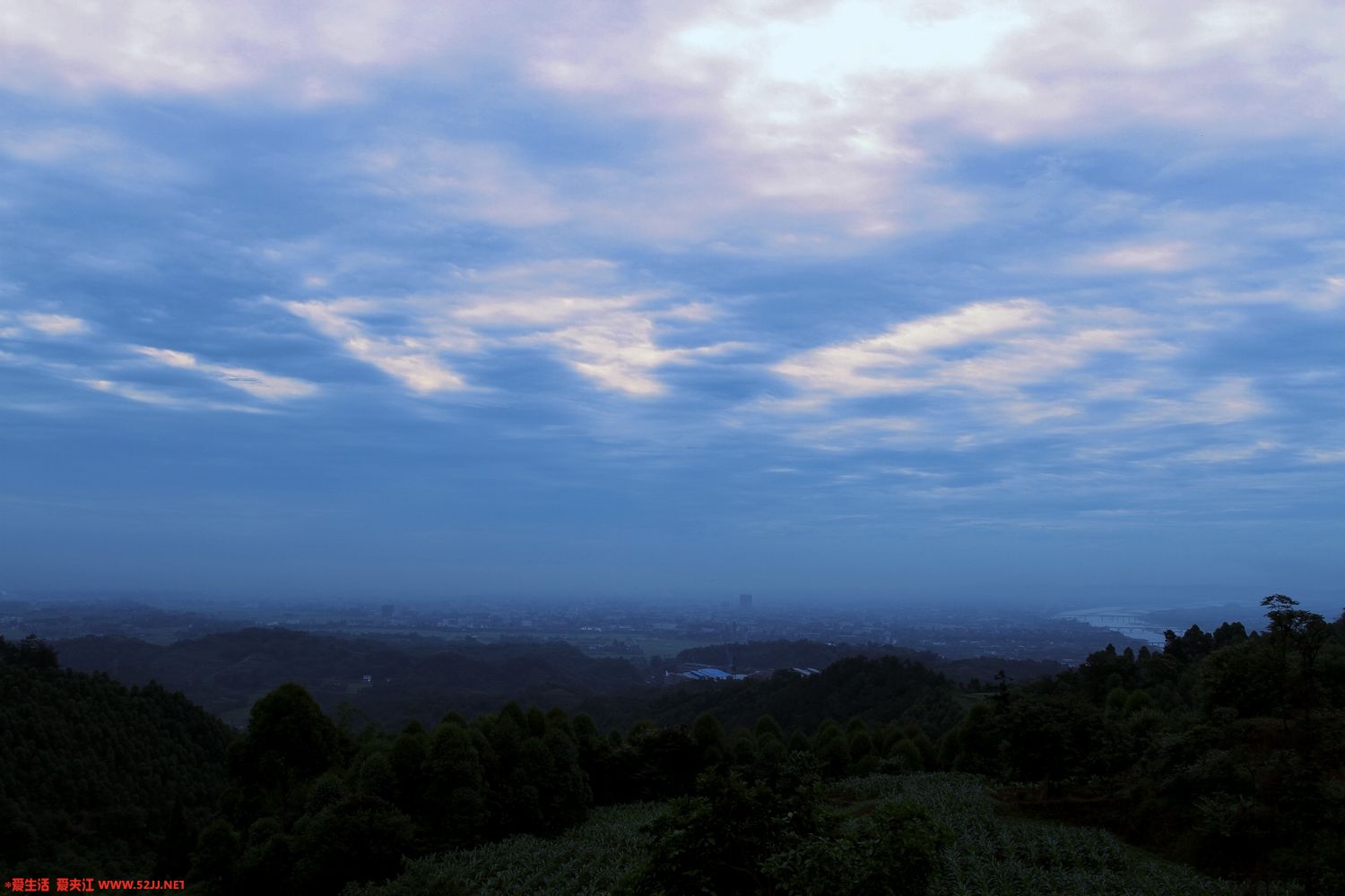 照片 037.jpg