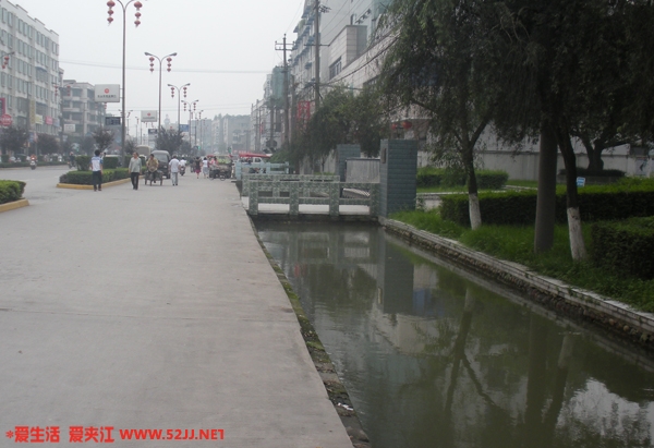 DSCN1176.jpg