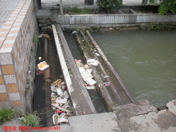 DSCN1179.jpg