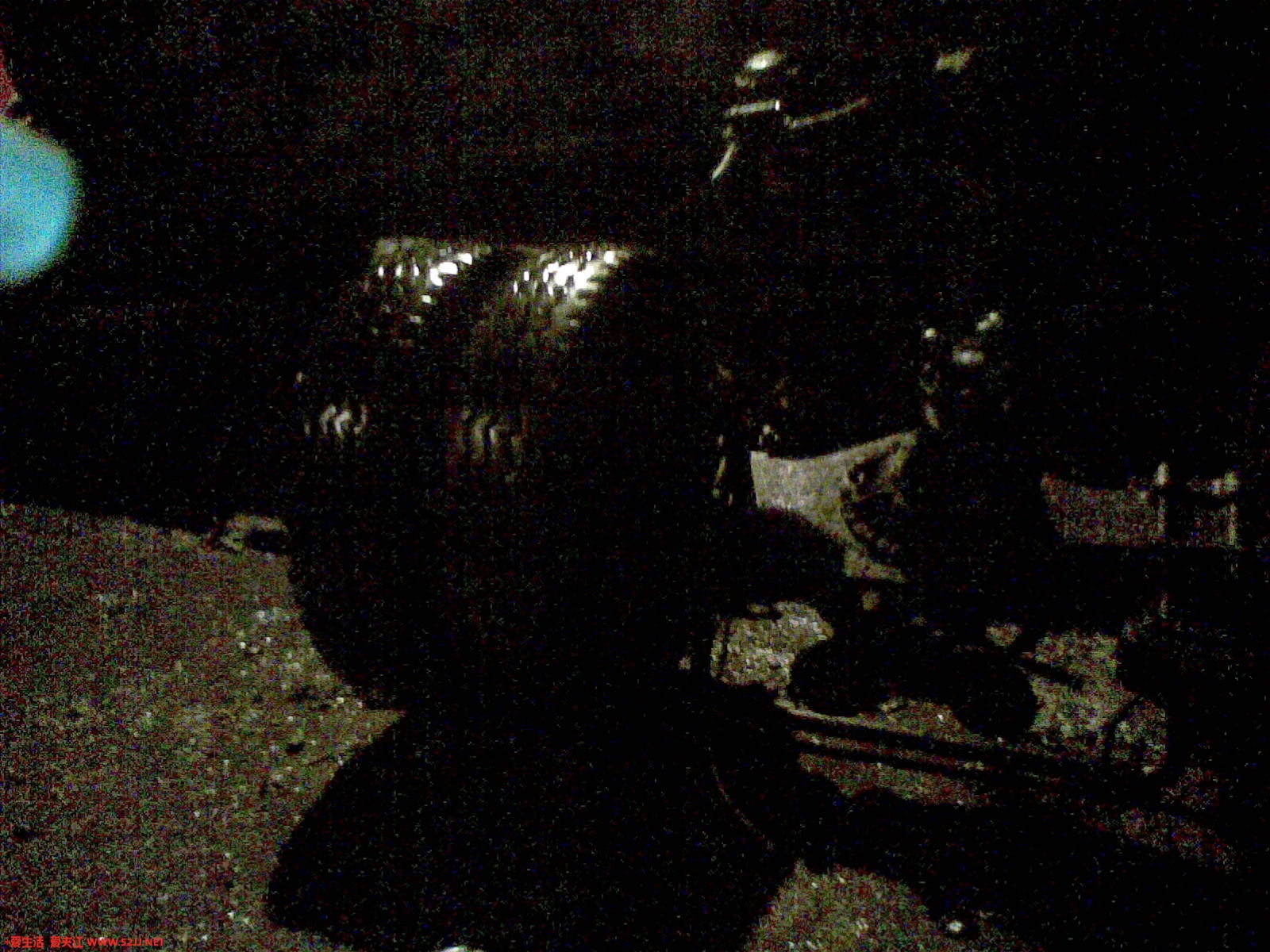 20100601(010).jpg