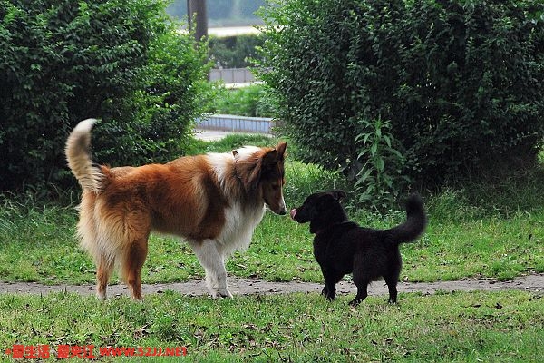 DSC_0164.jpg