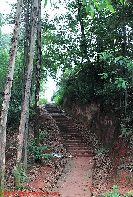 下山的阶梯路