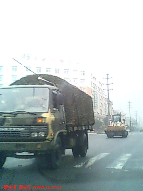 IMG0768A.jpg