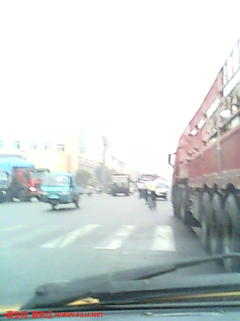 IMG0774A.jpg