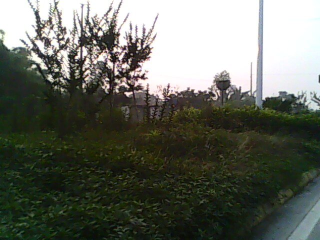 IMG0790A.jpg