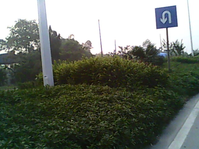 IMG0789A.jpg