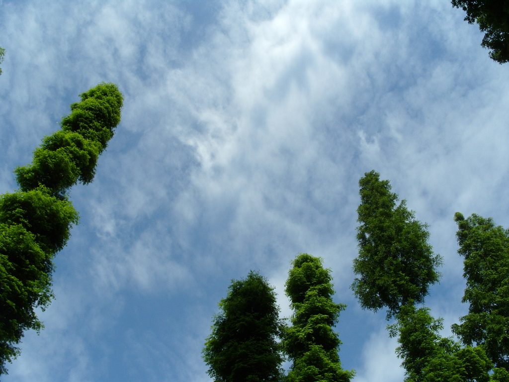 S1050728.jpg