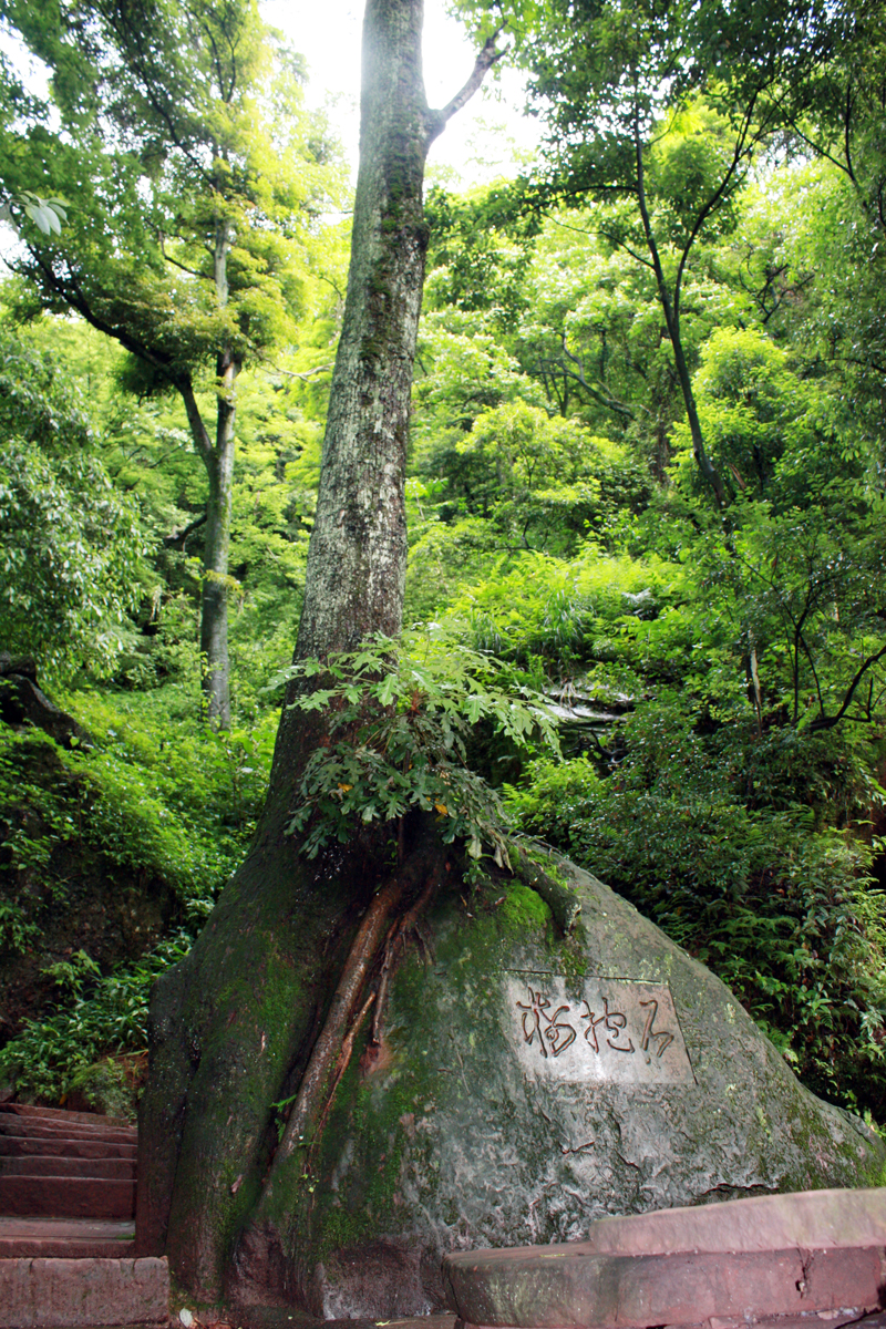 照片 210.jpg