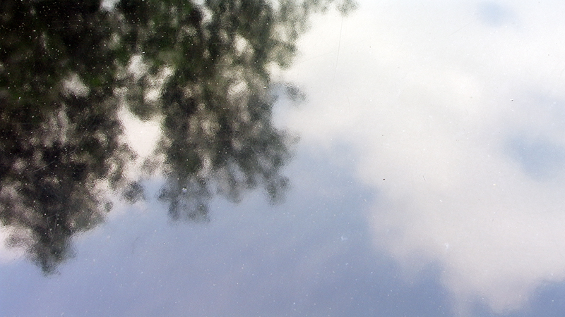 PIC_0981.JPG