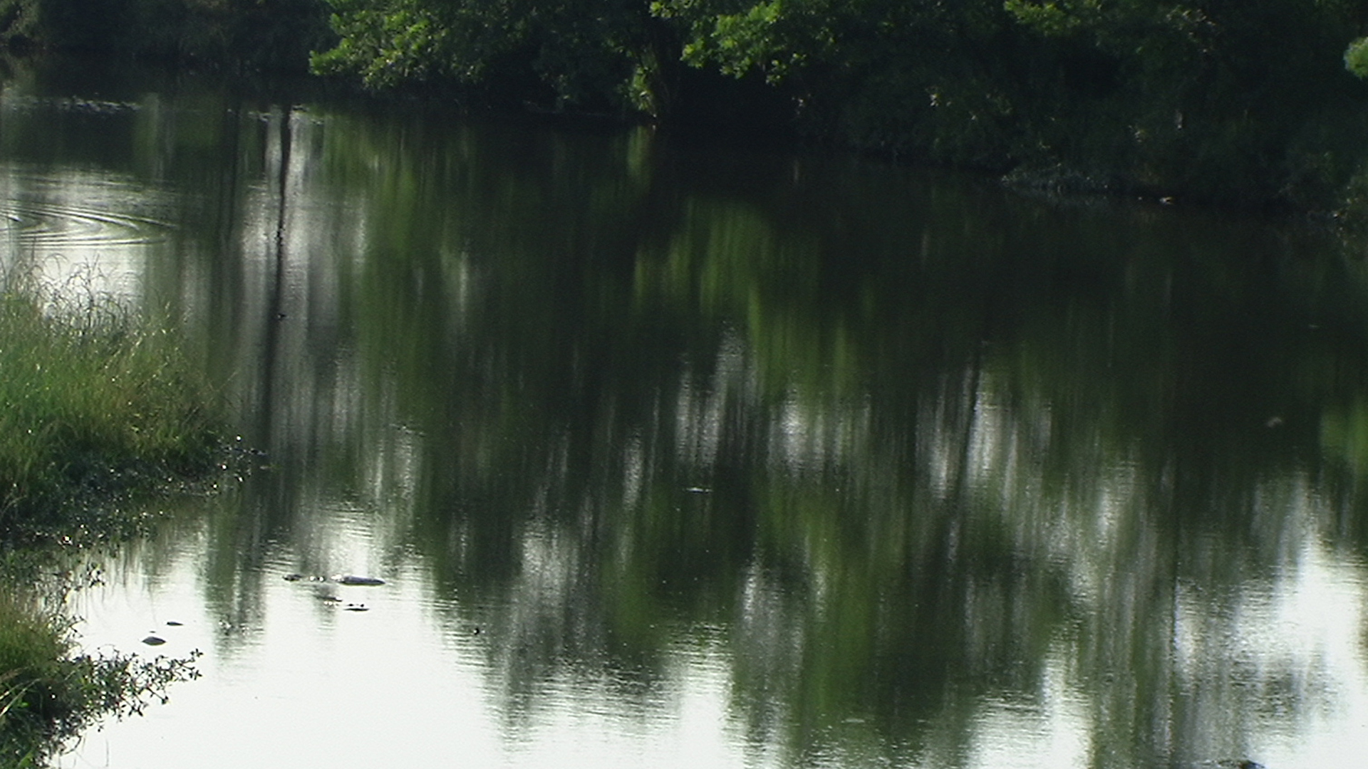 PIC_0967.JPG