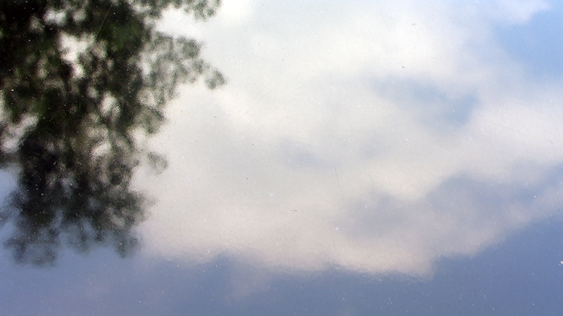 PIC_0980.JPG
