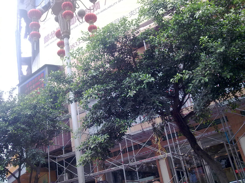 20100707886.jpg