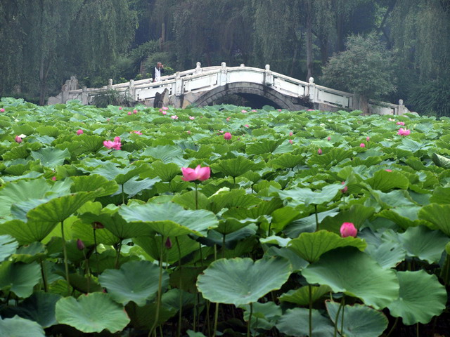 P7089357.JPG